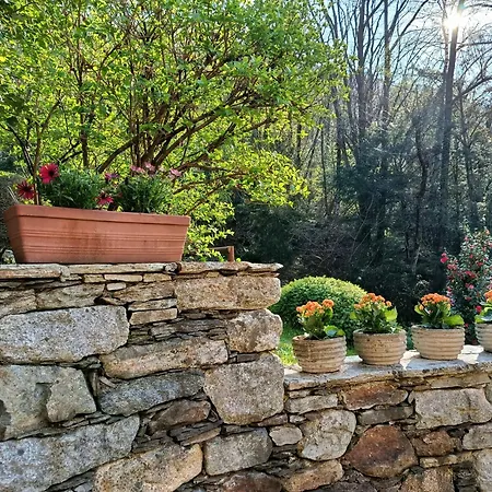 Guest house Cascina Nel Bosco *