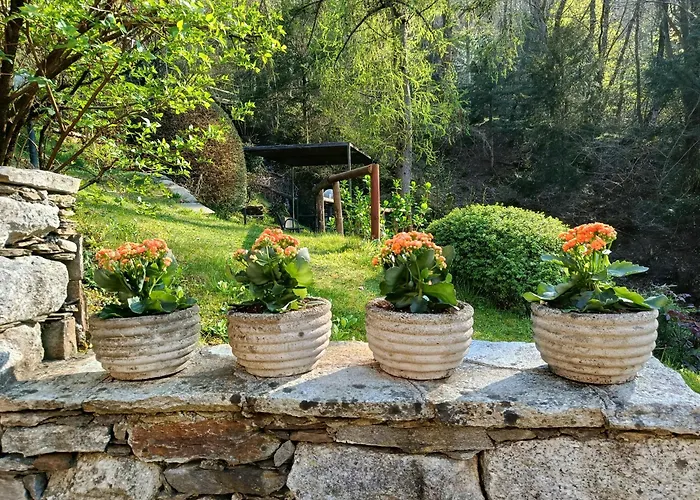 Cascina Nel Bosco 게스트하우스