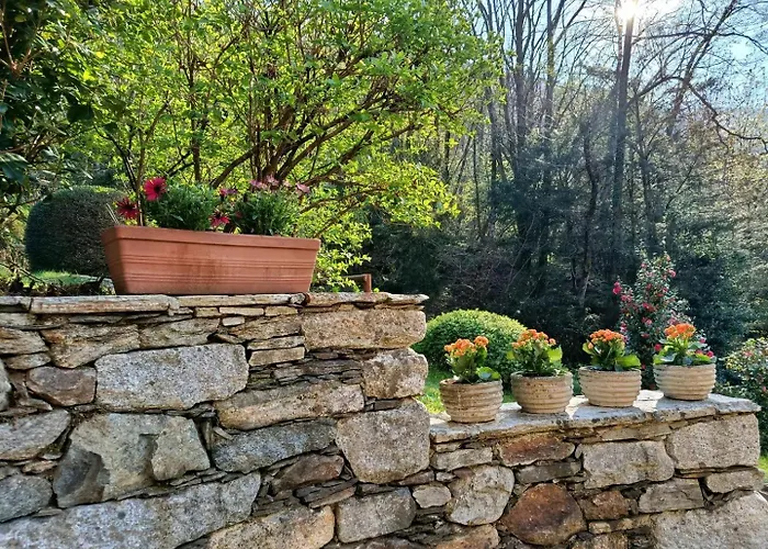 Cascina Nel Bosco 게스트하우스